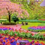 شهور الربيع وعدد أيامه.. تعريف فصل الربيع