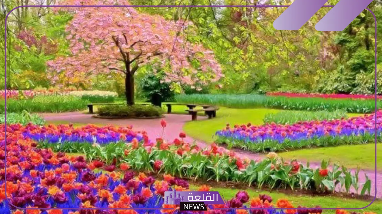 شهور الربيع وعدد أيامه.. تعريف فصل الربيع