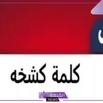 معنى كشخة باللغة العربية.. أصل كلمة كشخة واستخداماتها
