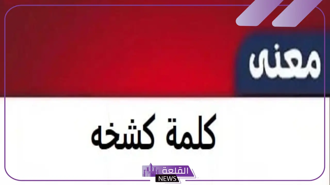 معنى كشخة باللغة العربية.. أصل كلمة كشخة واستخداماتها