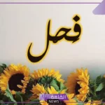 معنى فحل في اللغة العربية.. أنواع الفحول في علم اللغة