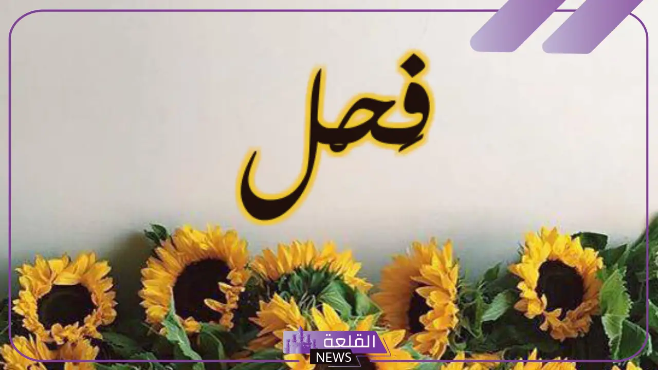 معنى فحل في اللغة العربية.. أنواع الفحول في علم اللغة