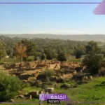وضح العلاقة بين وجود المحميات الطبيعية وزيادة نسبة السياحة