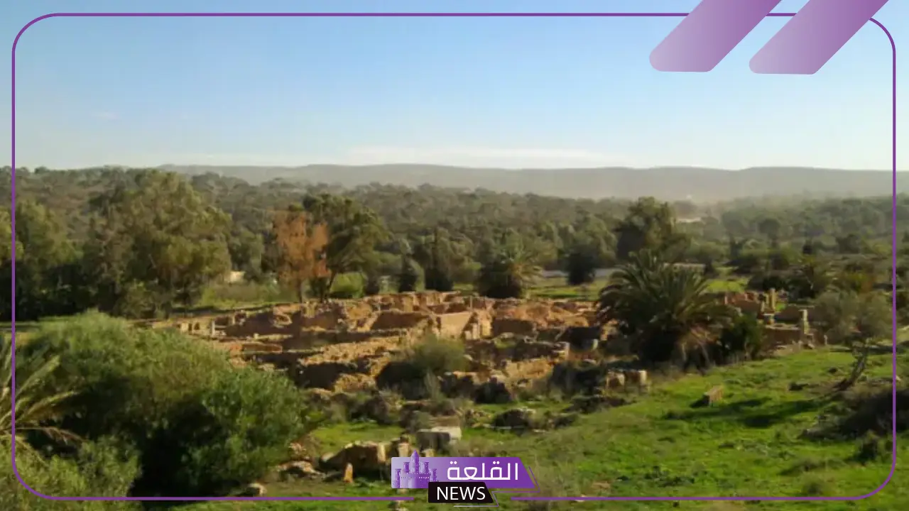 وضح العلاقة بين وجود المحميات الطبيعية وزيادة نسبة السياحة