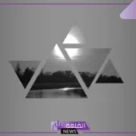 تسمى المضلعات التي لها نفس الشكل والقياس المضلعات المتشابهة