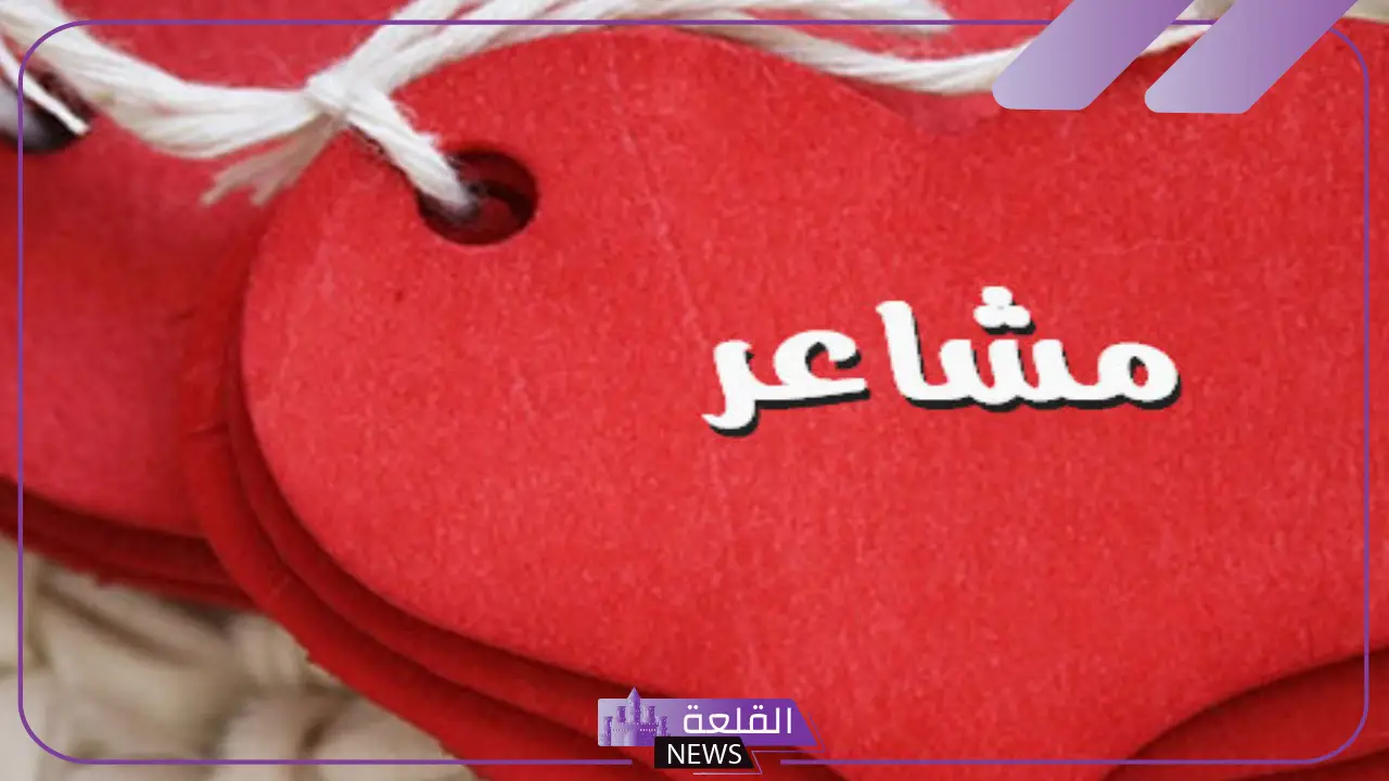 مرادف مشاعر جيَّاشة.. معنى كلمة مشاعر