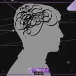 مثال على النظرية العلمية وتعريفها.. خصائص النظرية العلمية