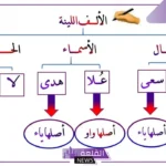 إذا كانت الألف اللينة رابعة فصاعدًا في أخر الأفعال تكتب