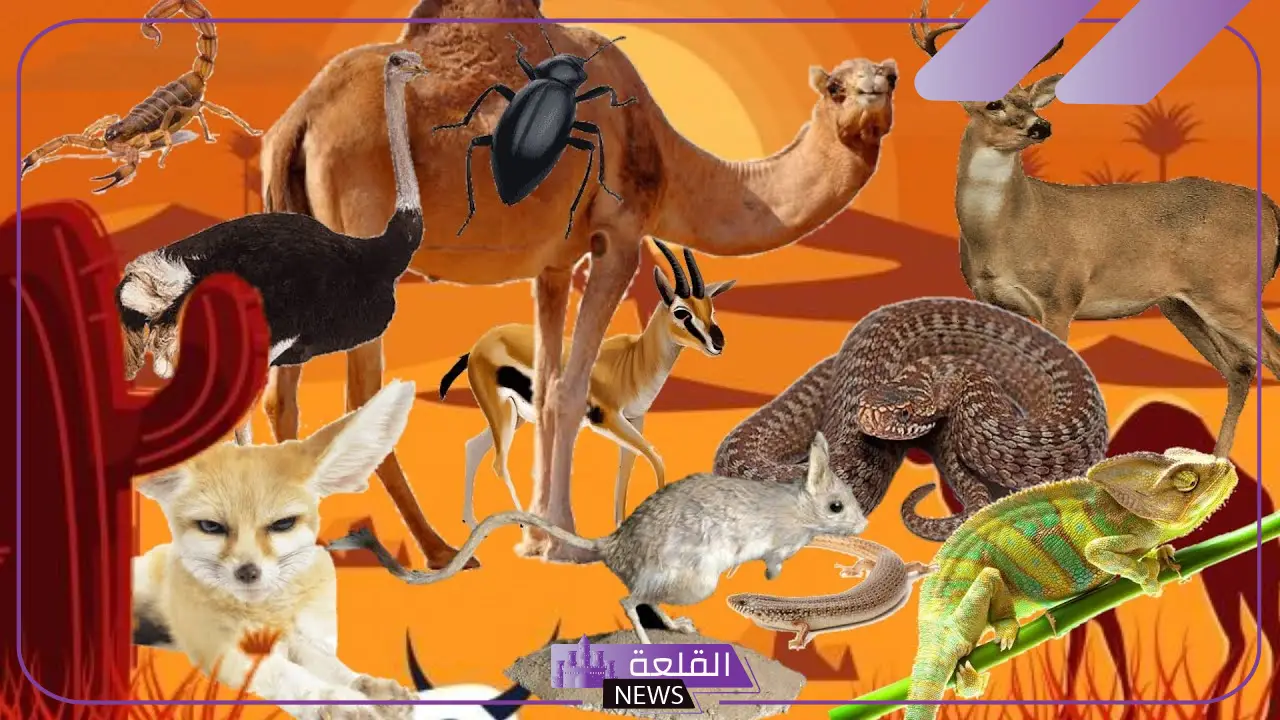 أسماء حيوانات صحراوية غير الجمل.. ما هي البيئة الصحراوية للحيوانات؟ أسماء حيوانات صحراوية غير الجمل.. ما هي البيئة الصحراوية للحيوانات؟