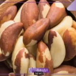 انواع الجوز وفوائده.. الفرق بين جوز البيكان وجوز عين الجمل