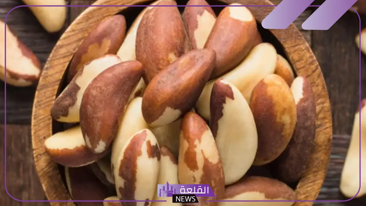 انواع الجوز وفوائده.. الفرق بين جوز البيكان وجوز عين الجمل