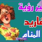 تفسير حلم سماع صوت الزغرودة في المنام للمرأة المتزوجة لابن سيرين