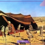 قبيلة السلمي في الحجاز وش ترجع.. فروع شجرة بني سليم