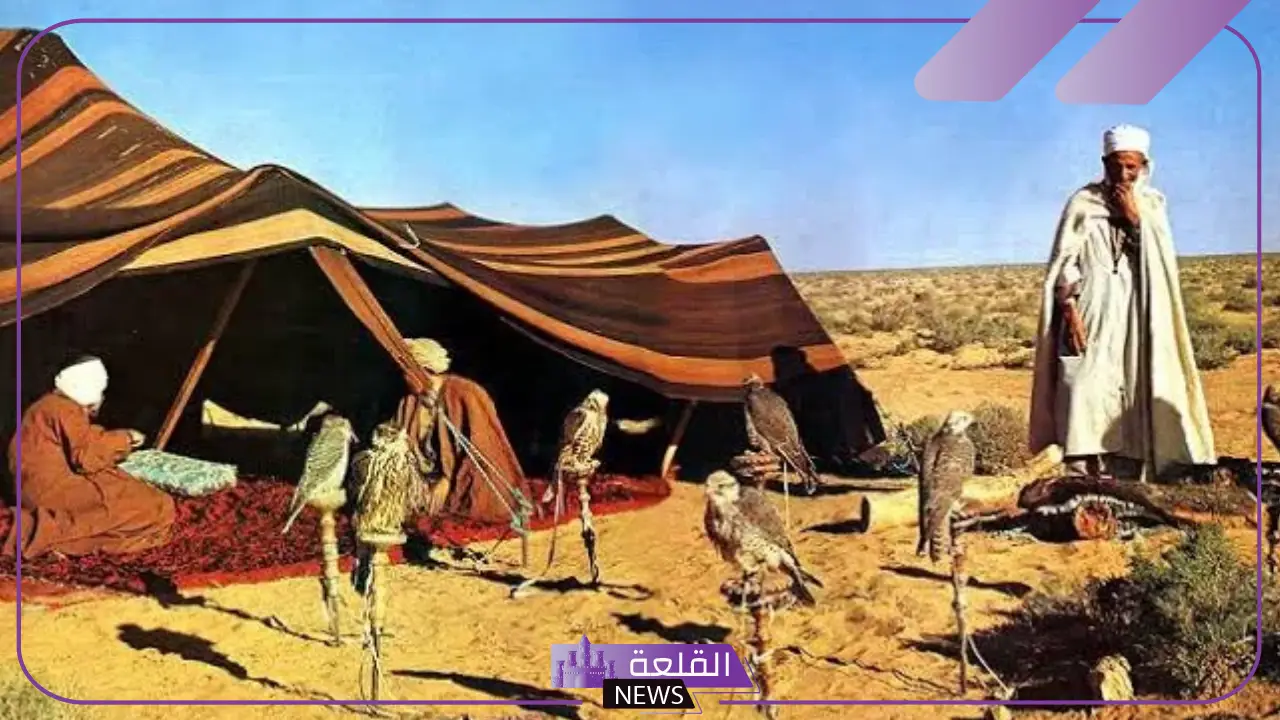 قبيلة السلمي في الحجاز وش ترجع.. فروع شجرة بني سليم