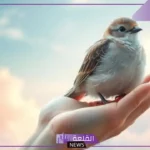 تفسير الحلم بعصفور في المنام للمرأة العزباء عند ابن سيرين