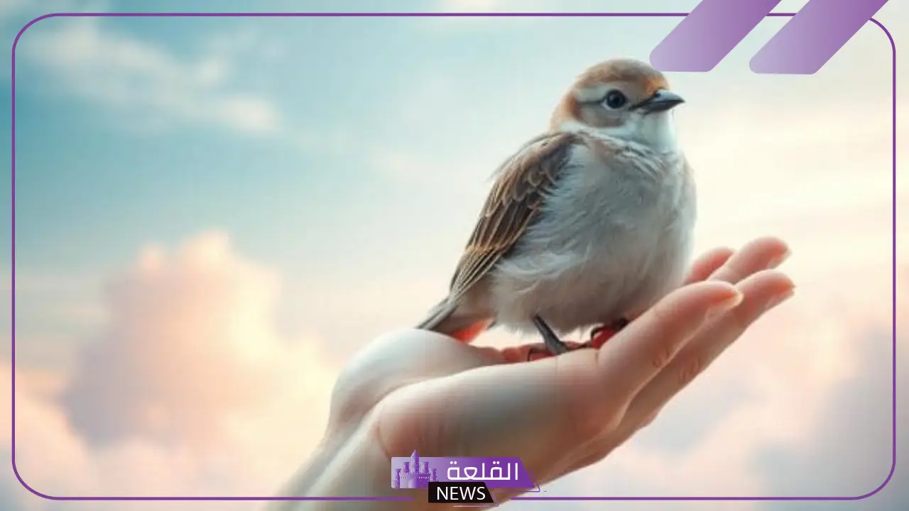 تفسير الحلم بعصفور في المنام للمرأة العزباء عند ابن سيرين
