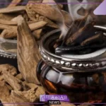 تفسير حلم رؤيا العود في المنام للمرأة المتزوجة للعالم ابن سيرين