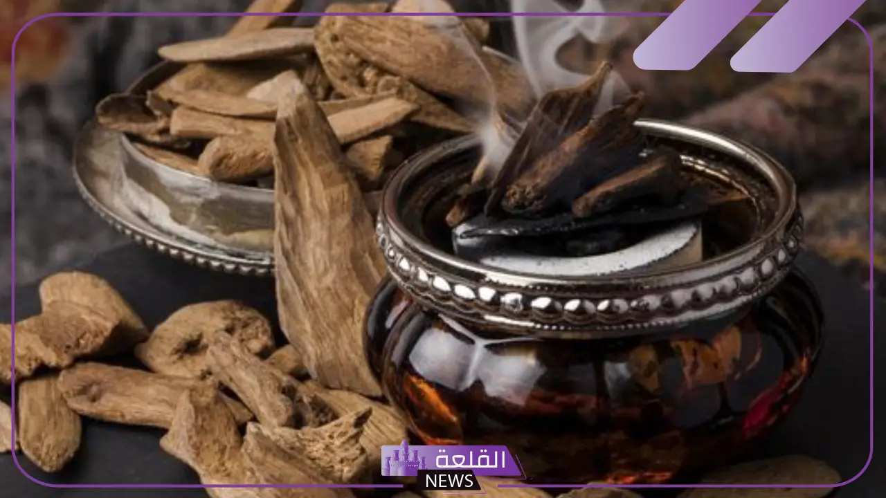 تفسير حلم رؤيا العود في المنام للمرأة المتزوجة للعالم ابن سيرين