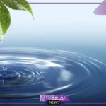 مراحل دورة الماء كاملة.. ما هي أشكال تواجد المياه على سطح الأرض؟