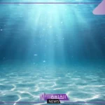 تفسير حلم البحر للعزباء هائج في المنام ورمز رؤيته لكبار المفسرين