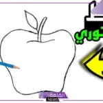 تعريف ومفهوم الخط الكنتوري للمبتدئين.. انواع الخط الكنتوري