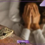 حلمت بوزغ في المنام للمرأة والرجل ورمزه عند ابن سيرين