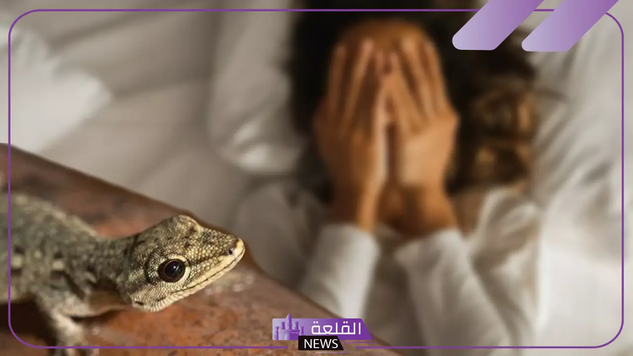 حلمت بوزغ في المنام للمرأة والرجل ورمزه عند ابن سيرين