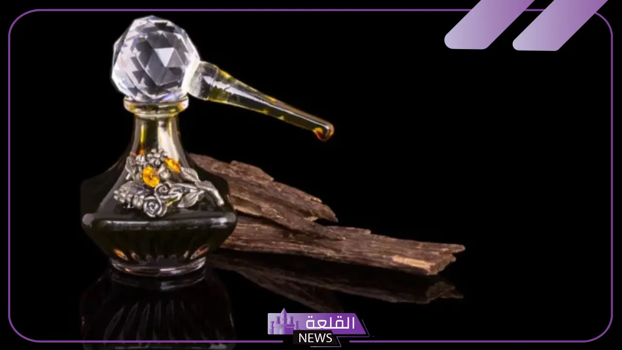 تفسير حلم رؤيا العود في المنام للمرأة المتزوجة للعالم ابن سيرين تفسير حلم رؤيا العود في المنام للمرأة المتزوجة للعالم ابن سيرين