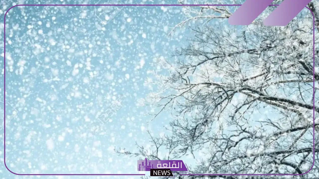 تفسير الحلم بنزول الثلج في المنام للعزباء والمتزوجة لابن سيرين تفسير الحلم بنزول الثلج في المنام للعزباء والمتزوجة لابن سيرين