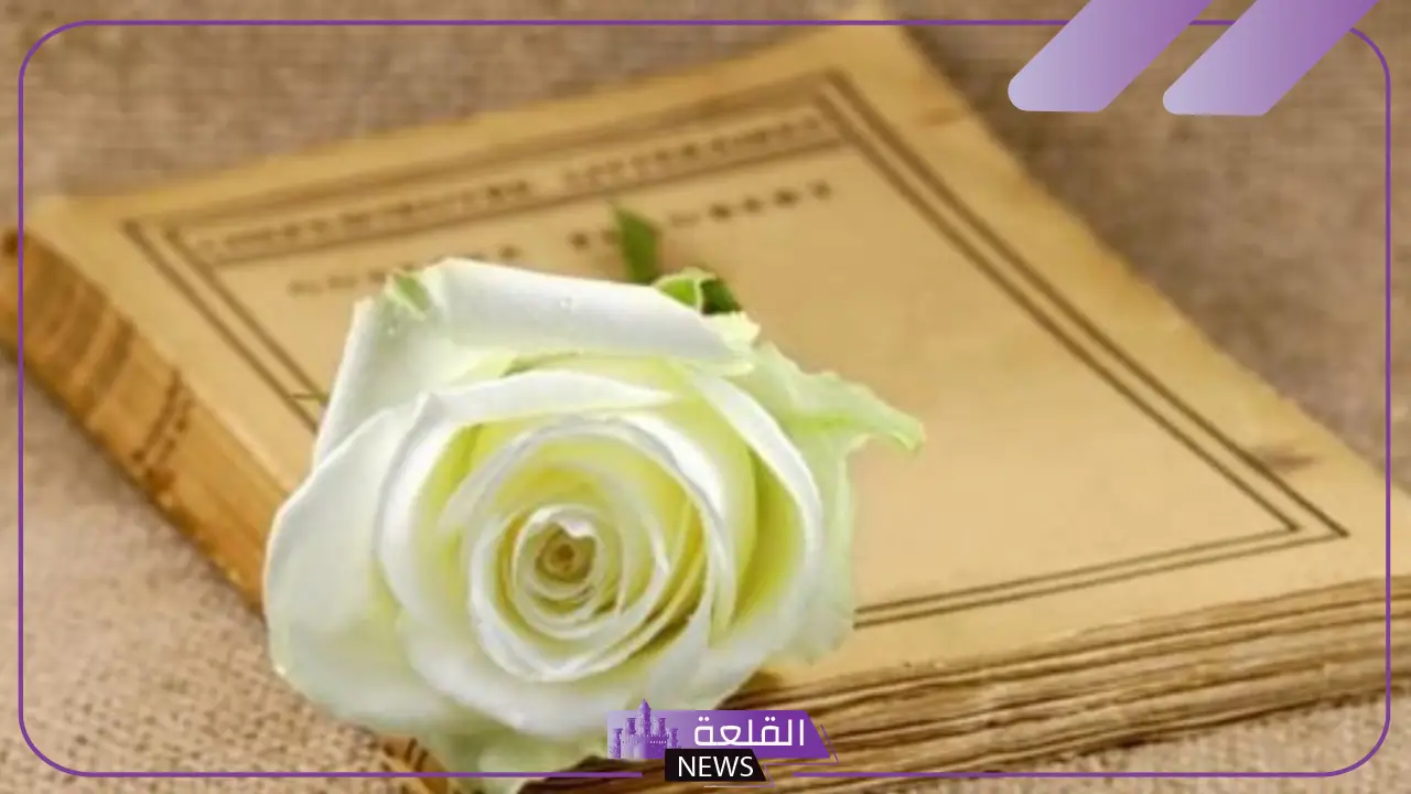 شعر مدح قصير للرجال.. ابيات شعر مدح قويه مميزة