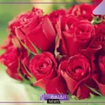 كلام عن الزوجة المخلصة الوفية.. أجمل كلام للزوجة الزعلانة