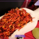 تجربتي مع العصفر للخوف وفوائده للصحة النفسية والجسدية