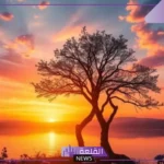 أجمل عبارات تُعبر عن المشاعر الجياشة قصيرة تويتر وفيس بوك