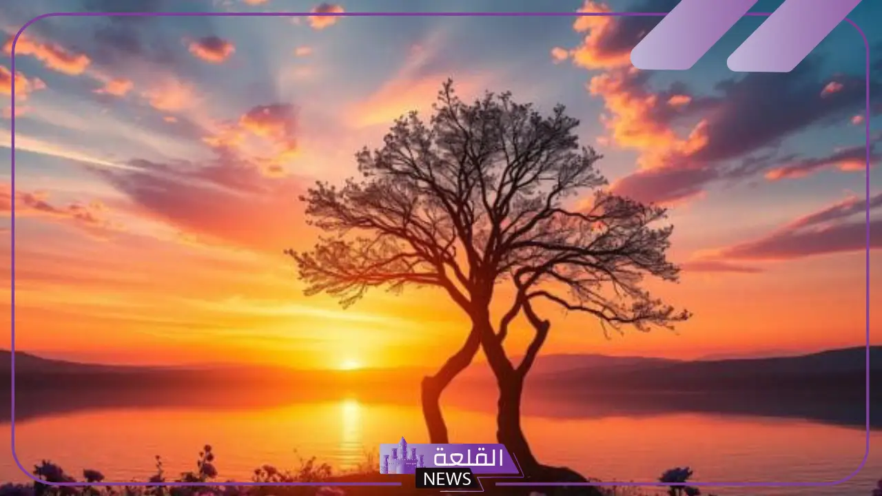 أجمل عبارات تُعبر عن المشاعر الجياشة قصيرة تويتر وفيس بوك