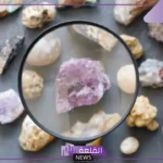 ما هو العامل المشترك بين المعادن والصخور؟