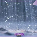 تفسير حلم رؤية المطر في المنام للمتزوجة والحامل والعزباء