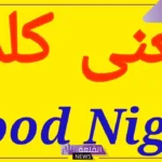 good night ترجمة.. ما هو معنى قود نايت؟