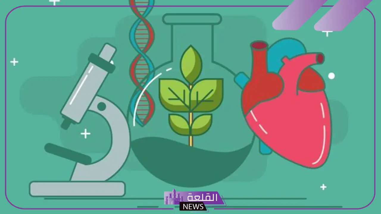 تعريف علم الأحياء وأهميته.. أقسام علم الأحياء 5 تعريف علم الأحياء وأهميته.. أقسام علم الأحياء