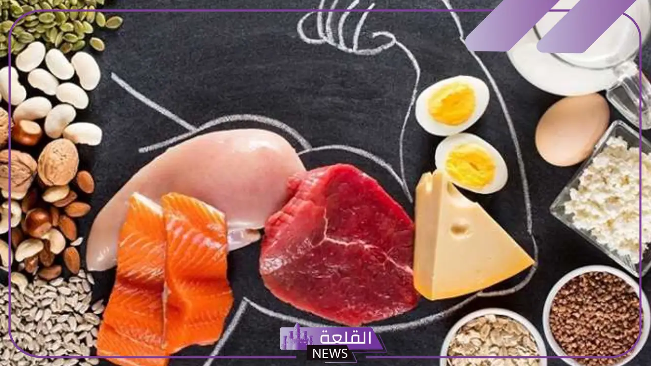 أهم مصادر الكرياتين.. أين يوجد الكرياتين في الطعام؟ أهم مصادر الكرياتين.. أين يوجد الكرياتين في الطعام؟