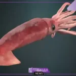 الحبار والأخطبوط يصنّفان ضمن: الفرق بين الحبار والأخطبوط