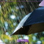 تفسير حلم رؤية المطر في المنام للمهموم والعزباء لابن سيرين