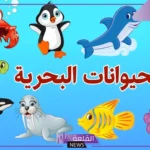 انواع الحيوانات البحرية.. حيوانات بحرية نادرة