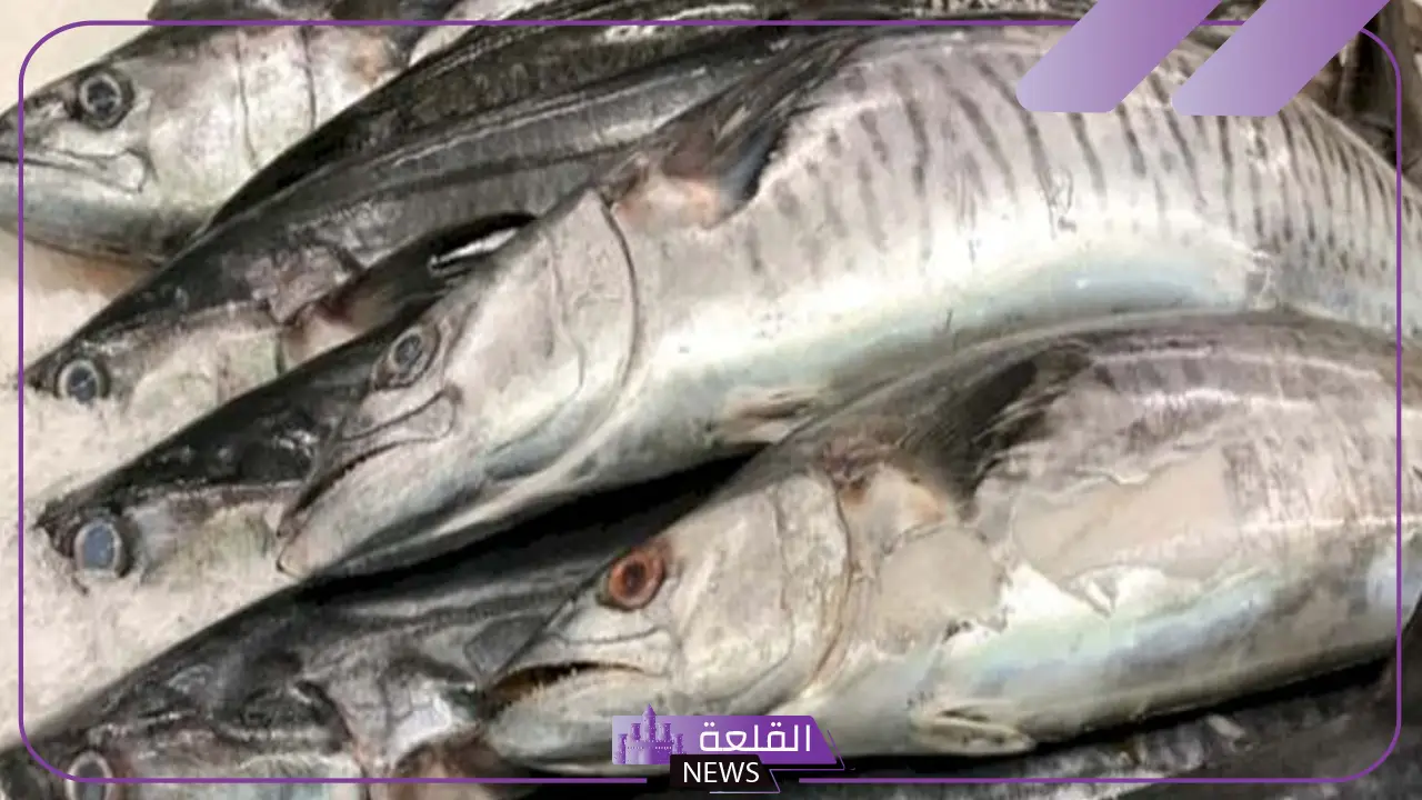 ما هي طريقة عمل سمك الدراك؟
