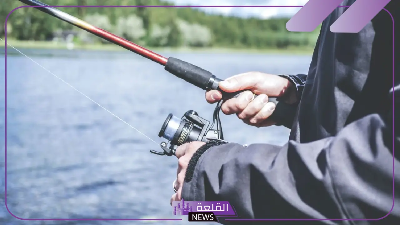 تفسير حلم صيد السمك في المنام للمتزوجة والعزباء لابن سيرين تفسير حلم صيد السمك في المنام للمتزوجة والعزباء لابن سيرين