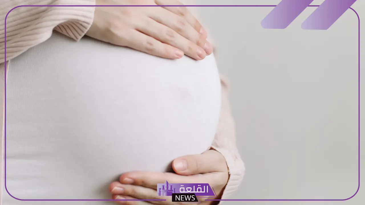 تفسير رؤية الحمل في المنام للعزباء والمتزوجة عند العالم ابن سيرين تفسير رؤية الحمل في المنام للعزباء والمتزوجة عند العالم ابن سيرين