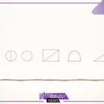 تعريف خط الكنتوري.. استخدامات الخط الكانتوري في الفن