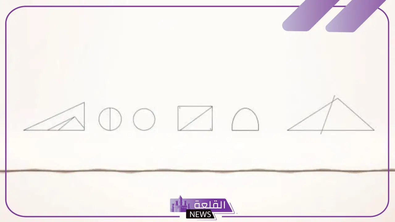 تعريف خط الكنتوري.. استخدامات الخط الكانتوري في الفن