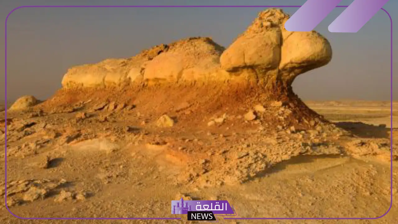 ما هي عوامل التعرية؟ متى تحدث عملية التعرية بسرعة؟